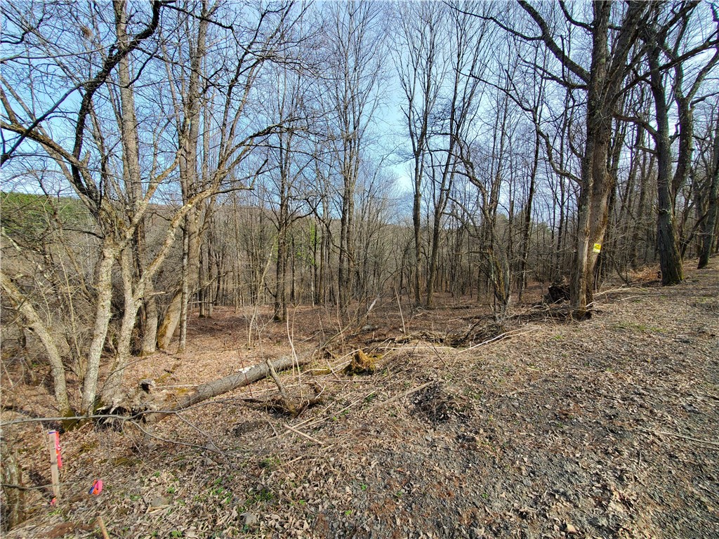 Lot #12 Goddards, New Lisbon, New York image 9