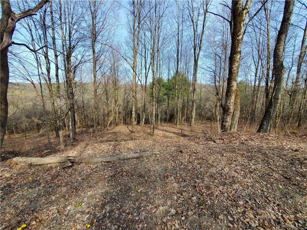 Lot #12 Goddards, New Lisbon, New York image 7