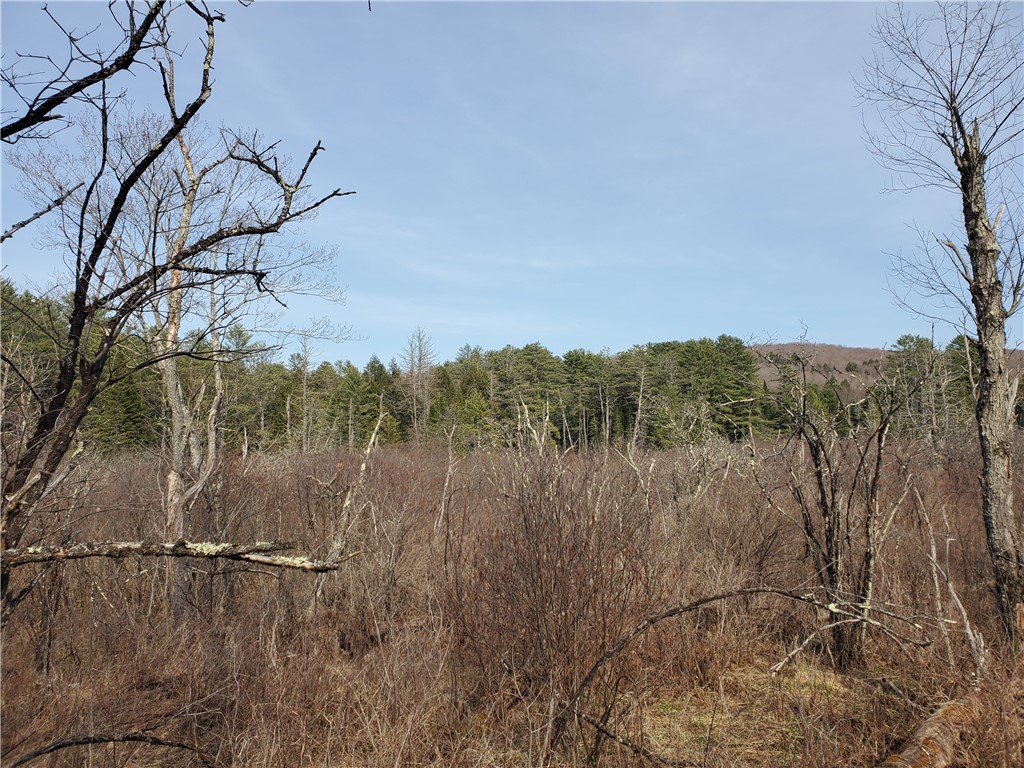 Lot #12 Goddards, New Lisbon, New York image 13