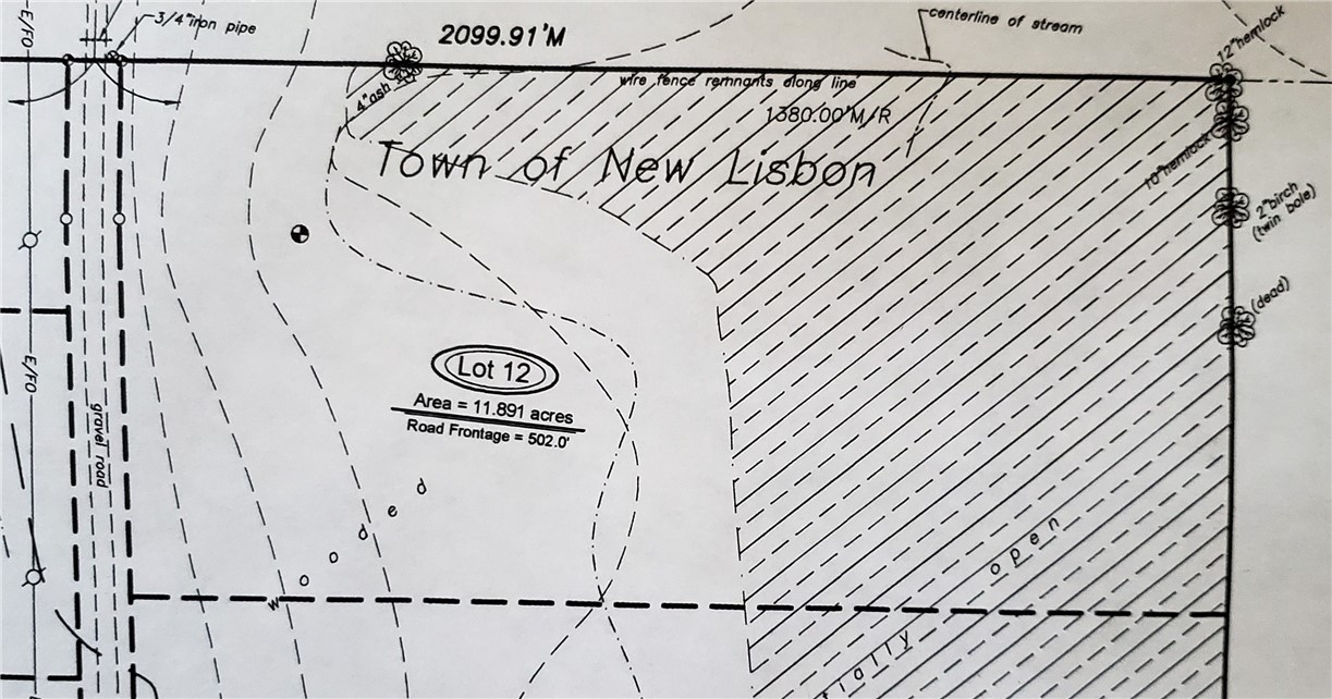Lot #12 Goddards, New Lisbon, New York image 4