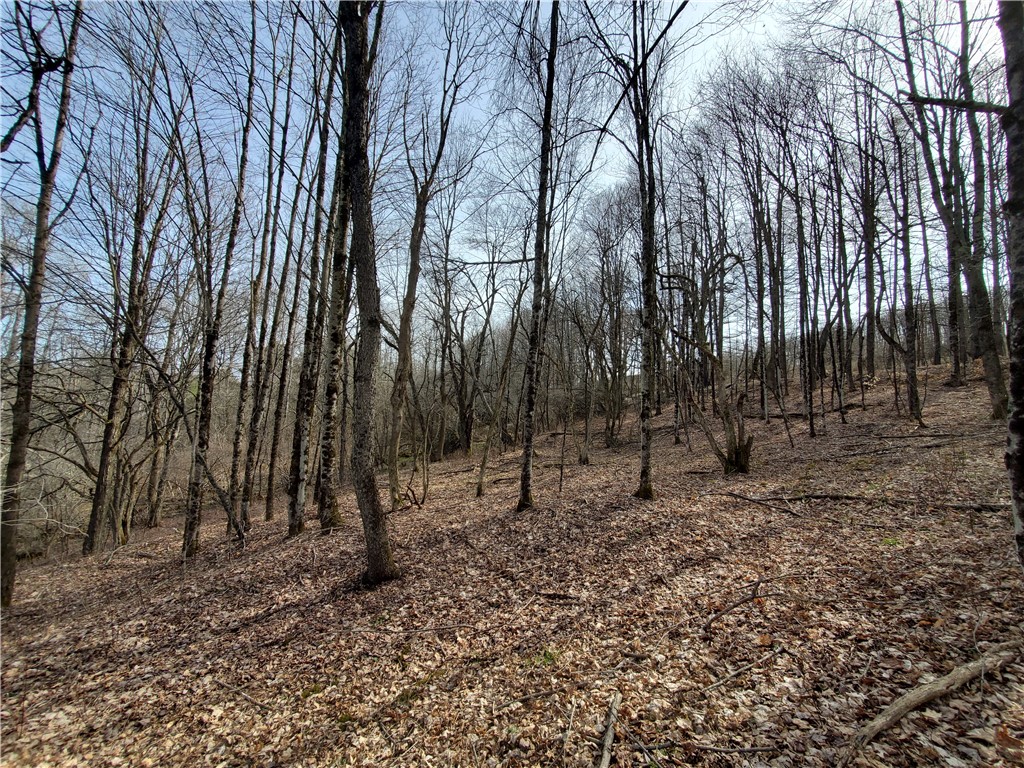 Lot #12 Goddards, New Lisbon, New York image 11