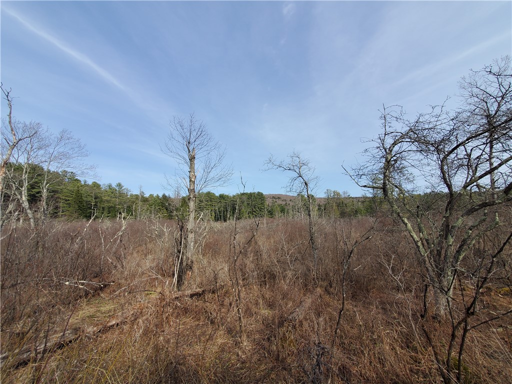 Lot #12 Goddards, New Lisbon, New York image 16
