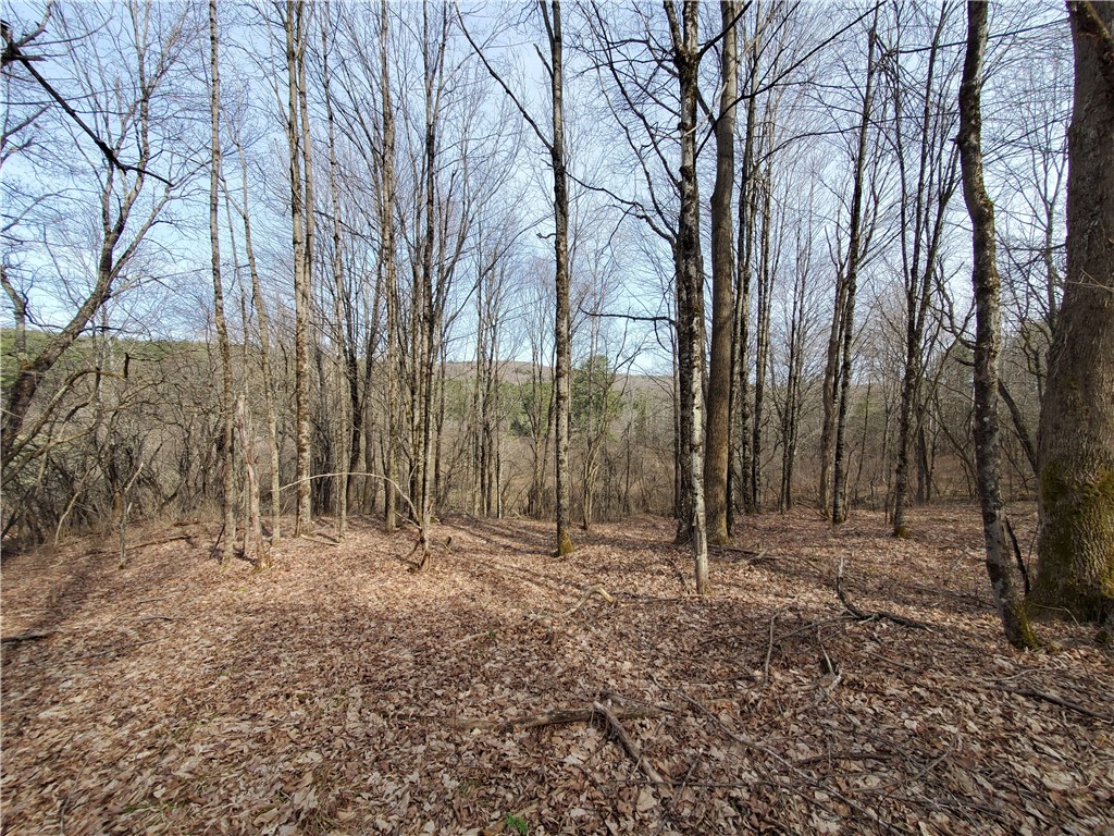 Lot #12 Goddards, New Lisbon, New York image 10