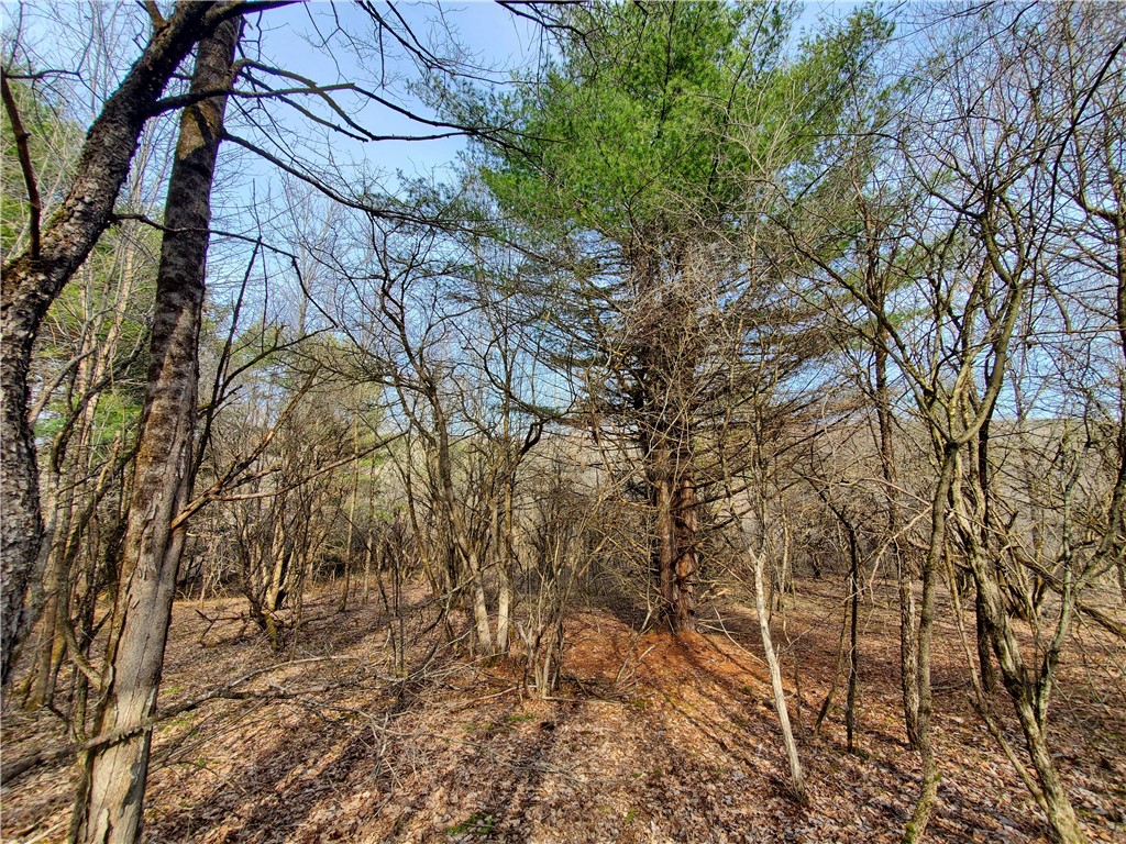 Lot #12 Goddards, New Lisbon, New York image 21