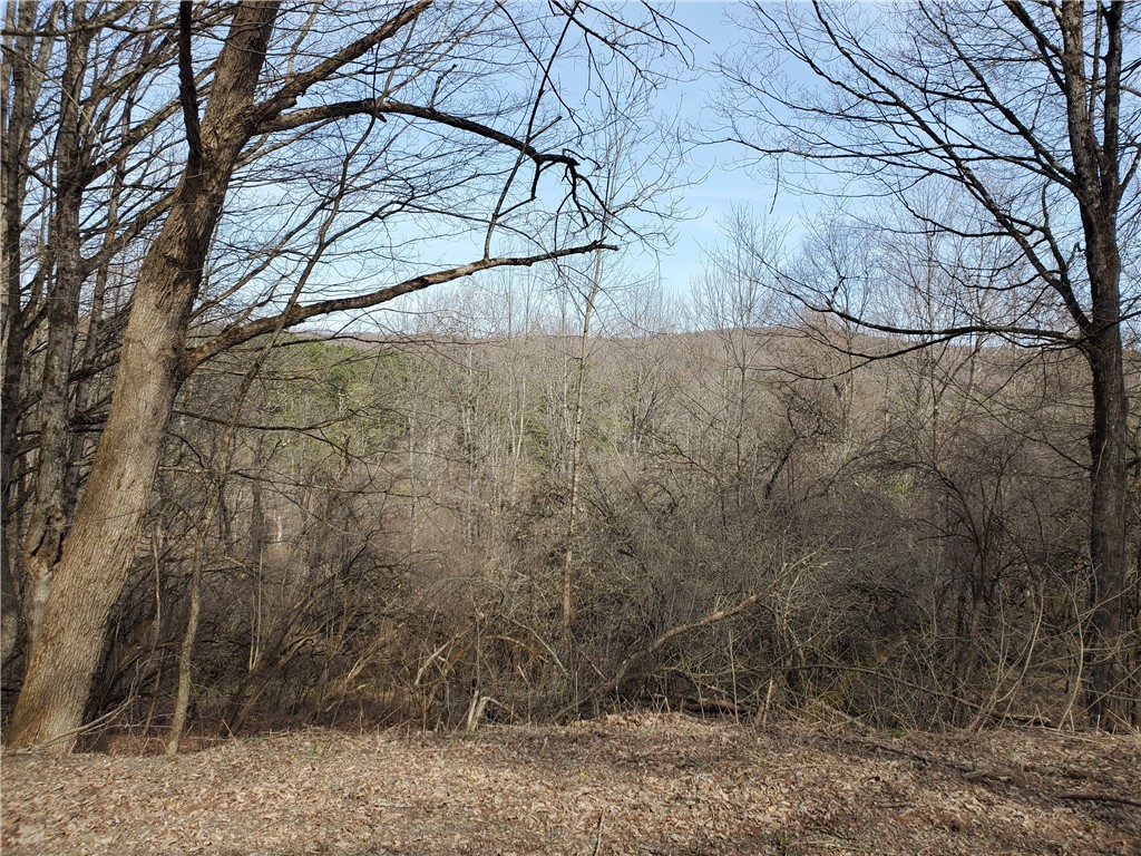 Lot #12 Goddards, New Lisbon, New York image 8