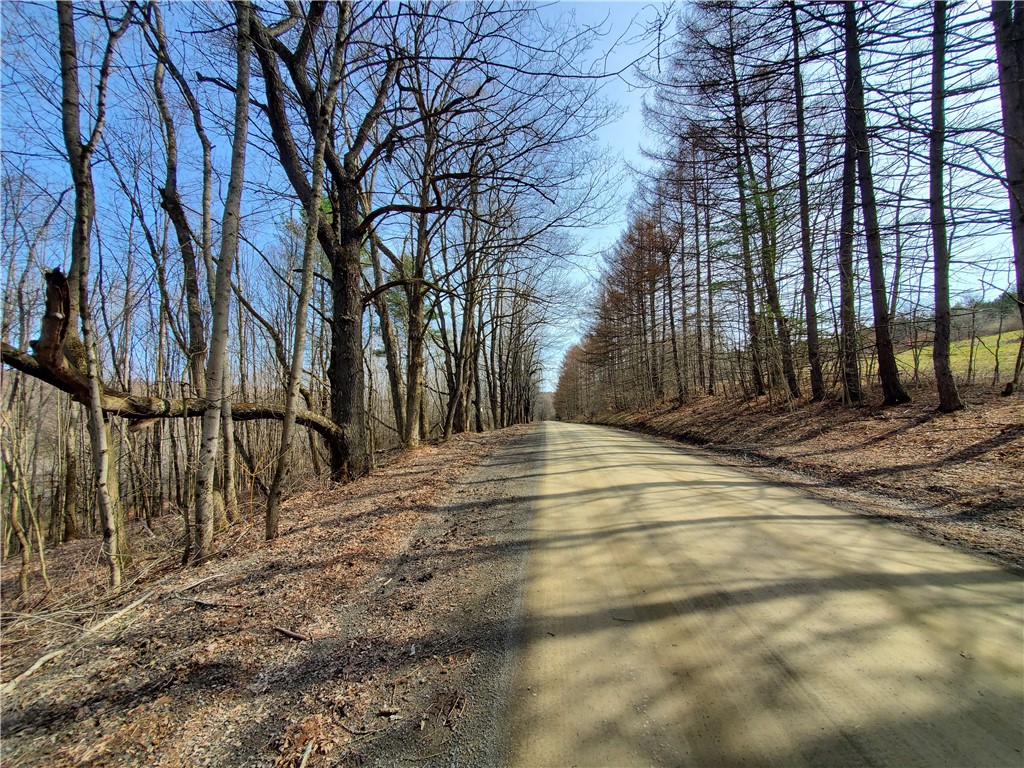 Lot #12 Goddards, New Lisbon, New York image 5