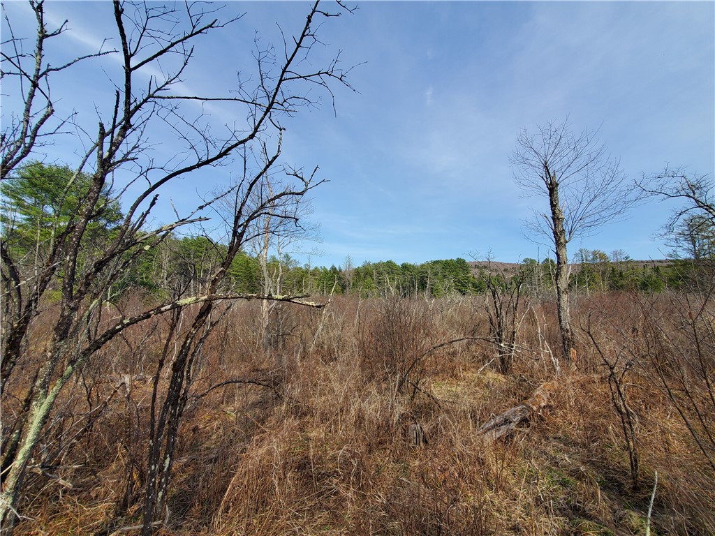Lot #12 Goddards, New Lisbon, New York image 12