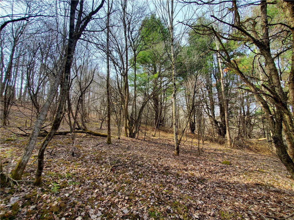 Lot #12 Goddards, New Lisbon, New York image 20