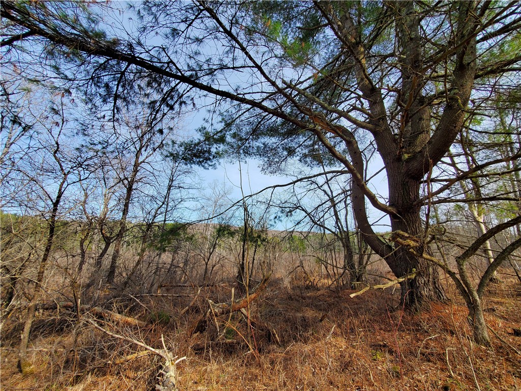 Lot #12 Goddards, New Lisbon, New York image 17