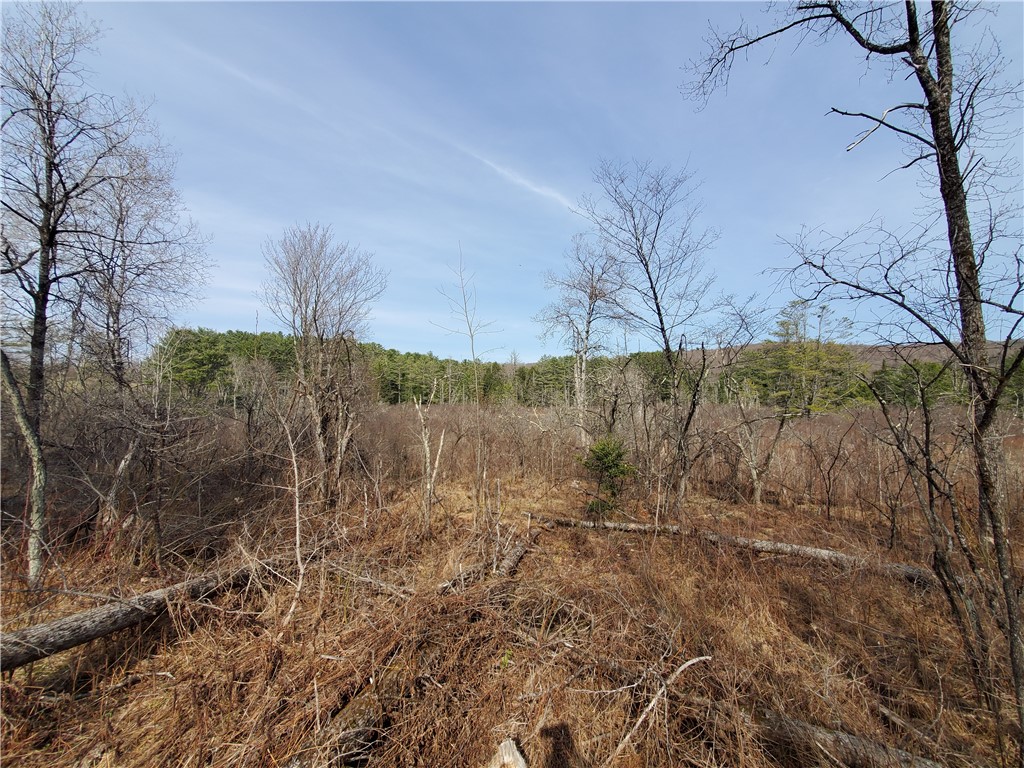 Lot #12 Goddards, New Lisbon, New York image 18