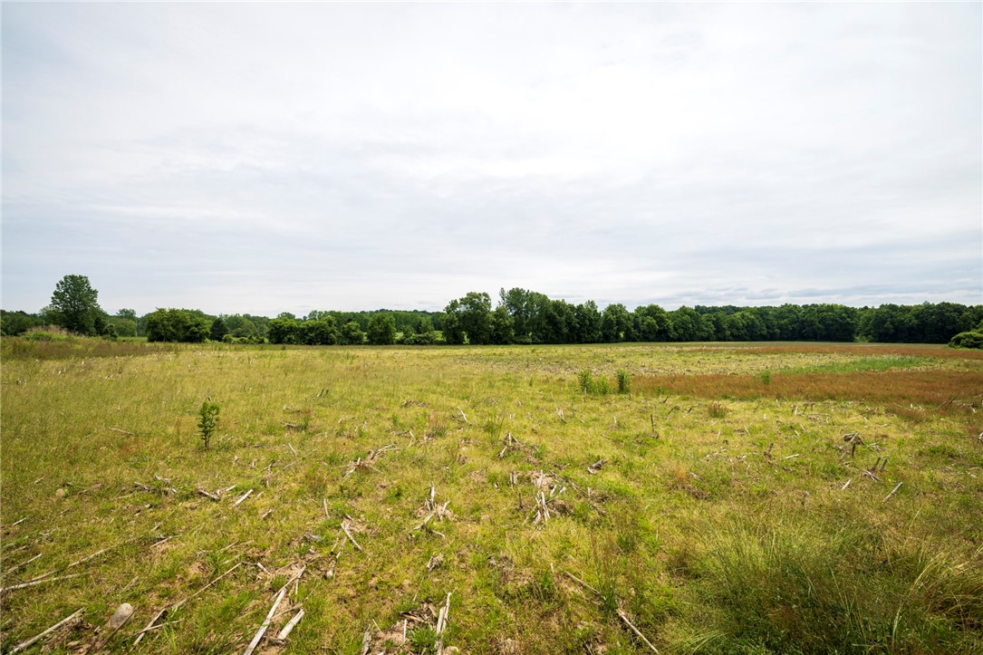 Search Properties 4 Rush scottsville road