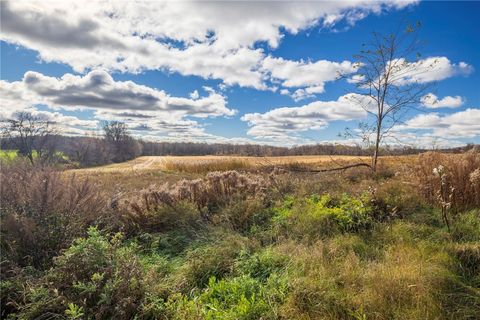 Vacant Land For Sale - Rush Scottsville Road<br/> Rush, NY 14543
