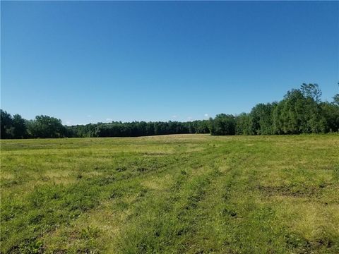 Vacant Land For Sale - 1936 Paddy Lane<br/> Wayne County, Ontario, NY 14519