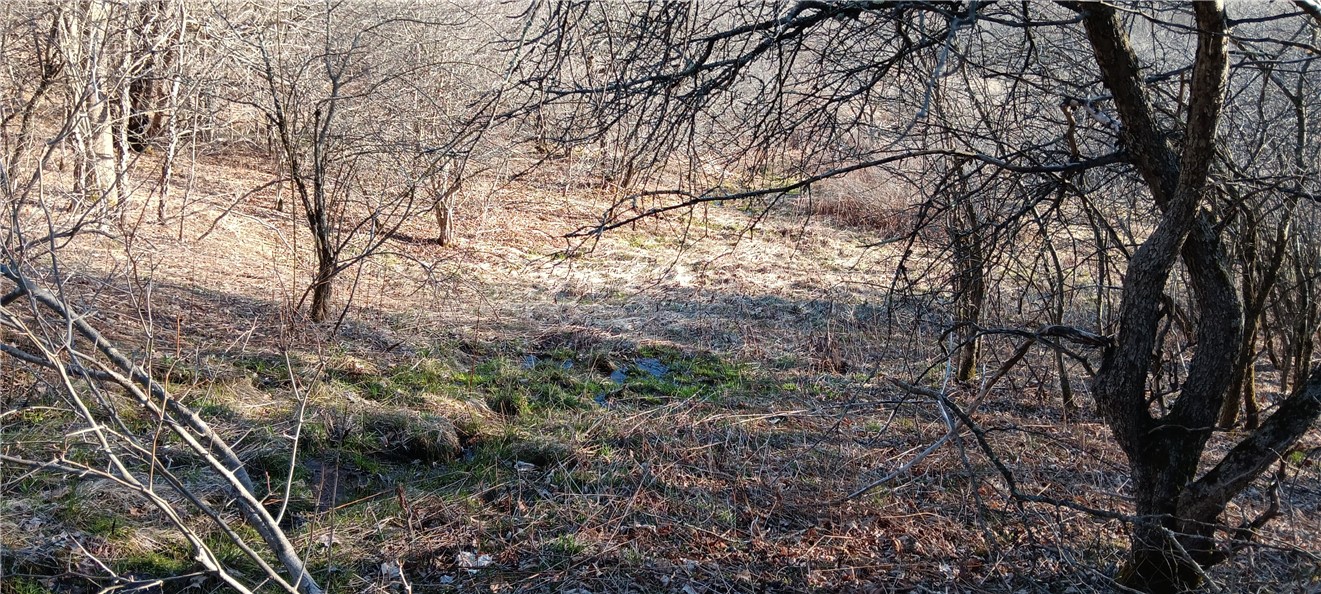 Davis Road, Stamford, New York image 2