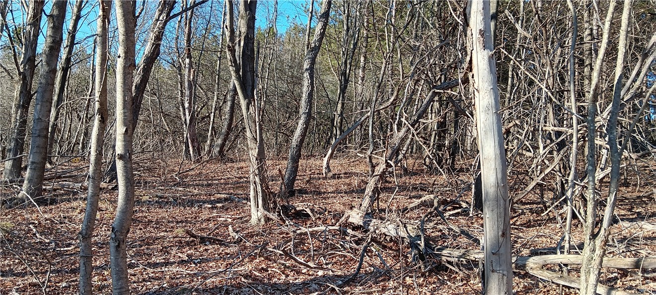 Davis Road, Stamford, New York image 4