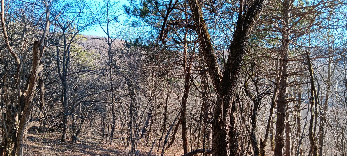 Davis Road, Stamford, New York image 6
