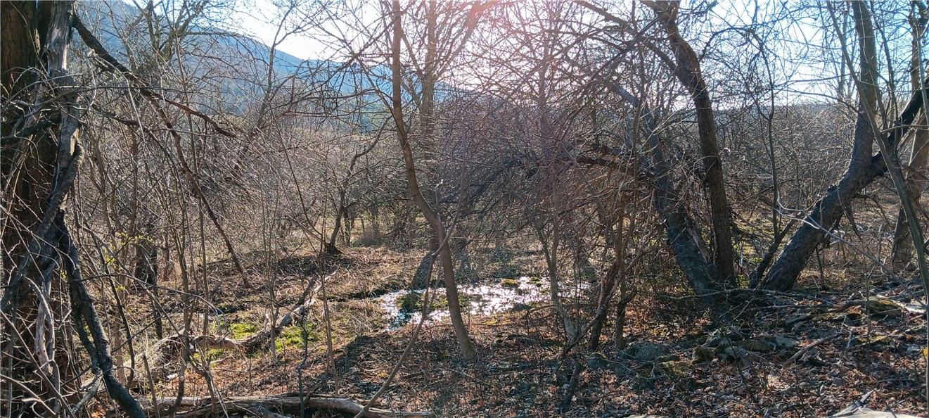 Davis Road, Stamford, New York image 7