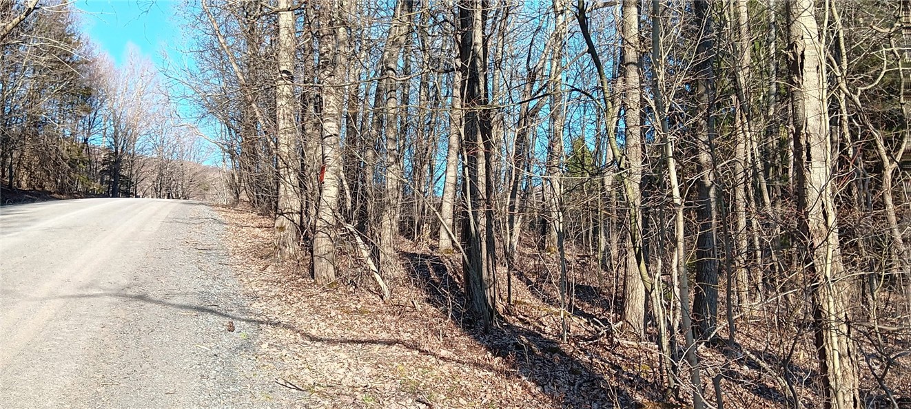 Davis Road, Stamford, New York image 1
