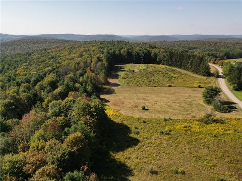 Vacant Land For Sale - 330 Tallow Hill Road Rd<br/> Spencer, NY 14883