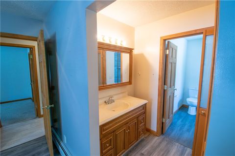 Tiny photo for 24 VanRensselaer Street, Seneca Falls, NY 13148 (MLS # R1685003)
