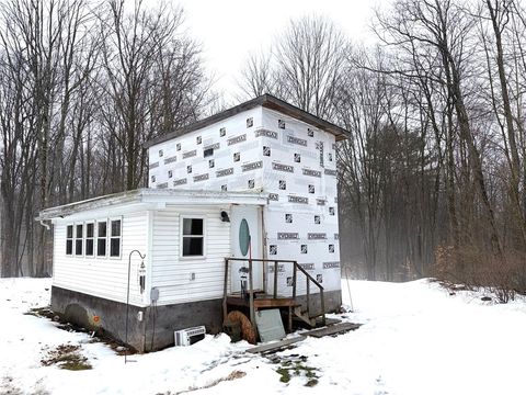 Homes For Sale - 2680 Apple Tree Road<br/> Allegany County, Clarksville, NY 14715