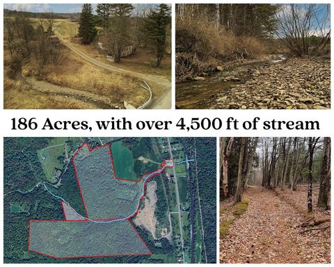 Vacant Land For Sale - 1975 State Highway 8<br/> Chenango County, Guilford, NY 13809