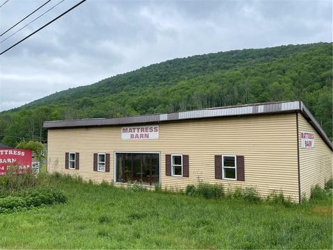 Homes For Sale - 8663 Route 28<br/> Shandaken, NY 12465