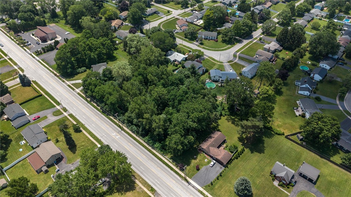 Mt Read Boulevard