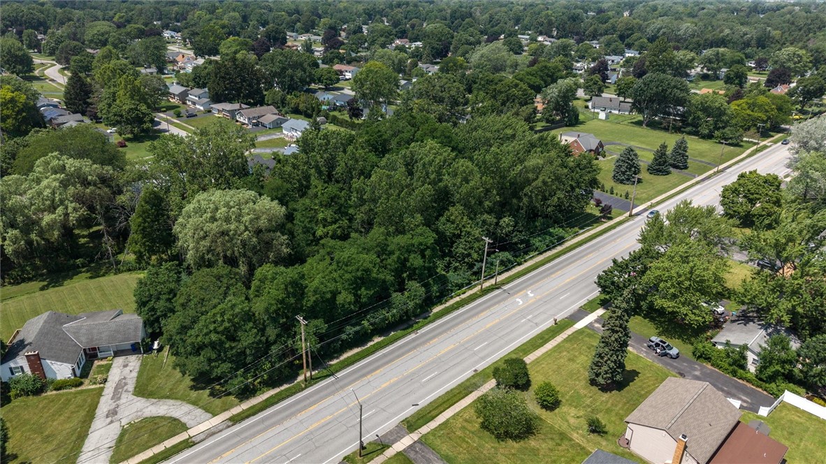 Mt Read Boulevard