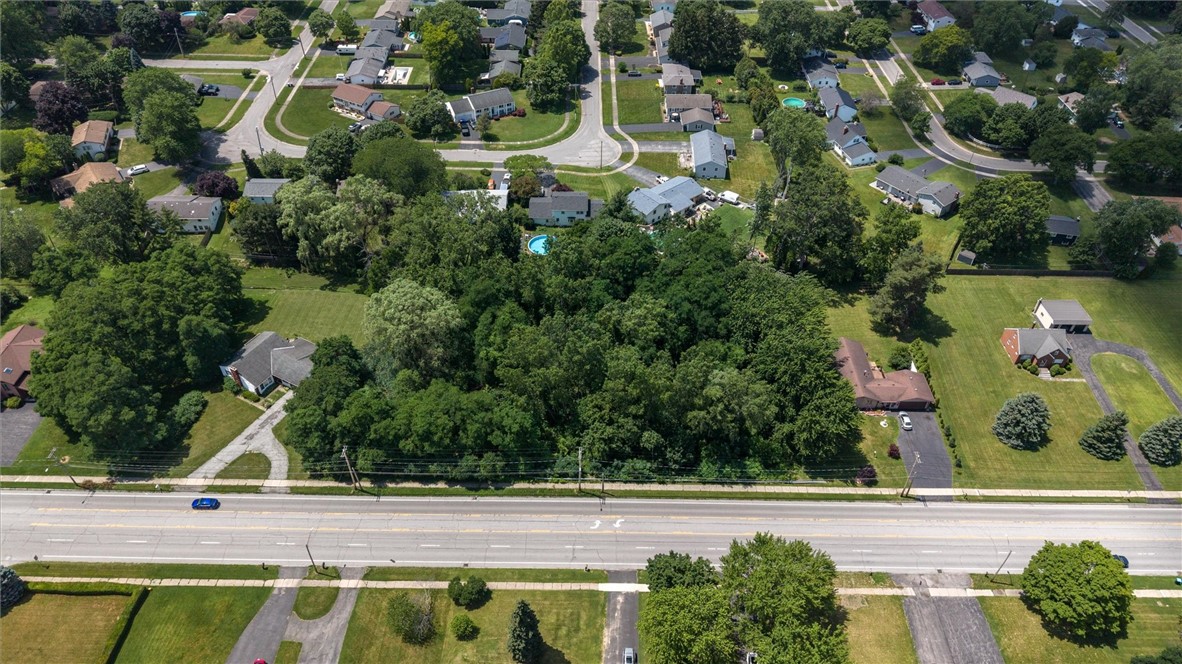 Mt Read Boulevard