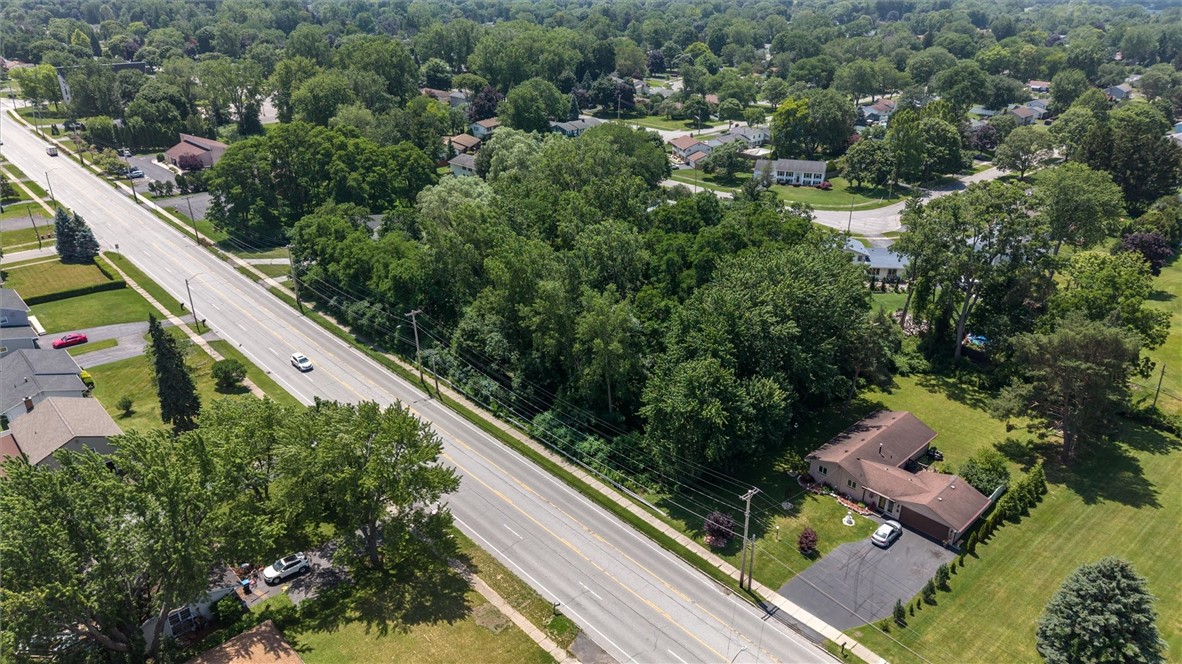 Mt Read Boulevard