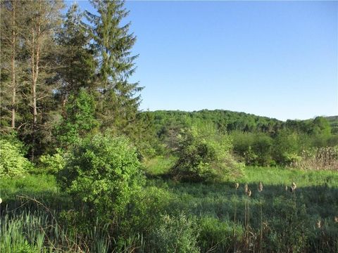 Vacant Land For Sale - LOT 1 State Route 80<br/> Chenango County, Smyrna, NY 13464