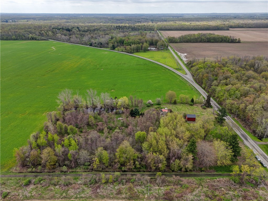 15541 Roosevelt Highway, Kendall, New York image 1