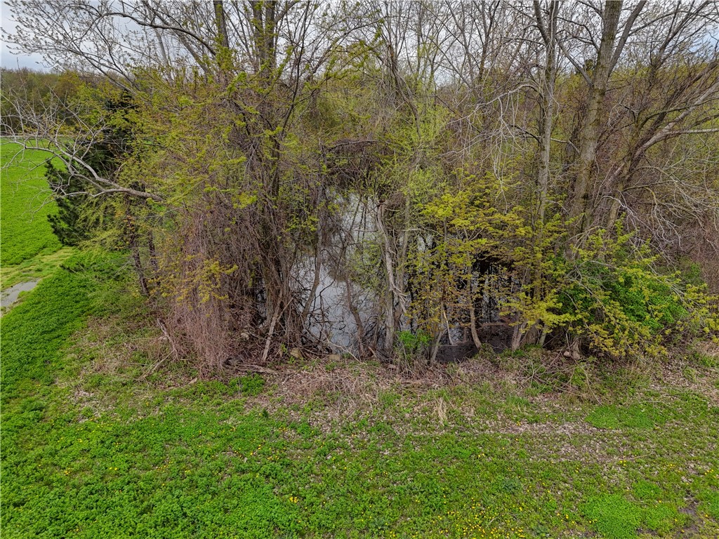 15541 Roosevelt Highway, Kendall, New York image 10