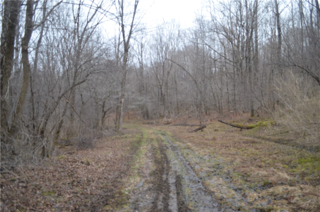 1377 Vrolyk Road, Georgetown, New York image 6