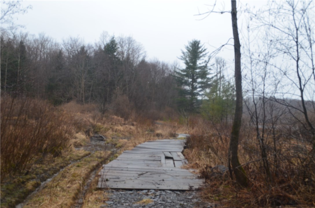 1377 Vrolyk Road, Georgetown, New York image 41