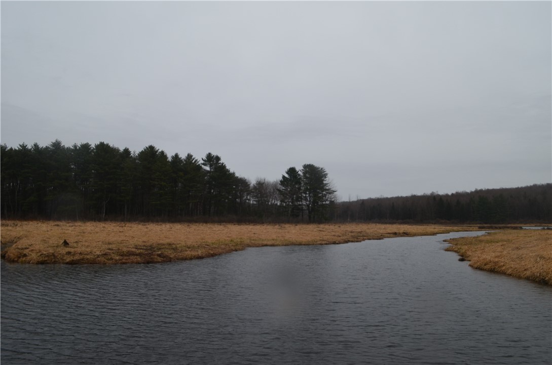 1377 Vrolyk Road, Georgetown, New York image 17