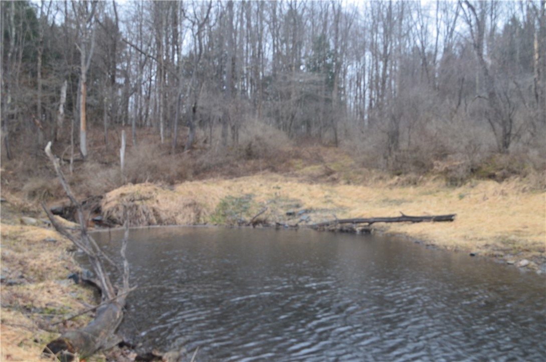 1377 Vrolyk Road, Georgetown, New York image 13