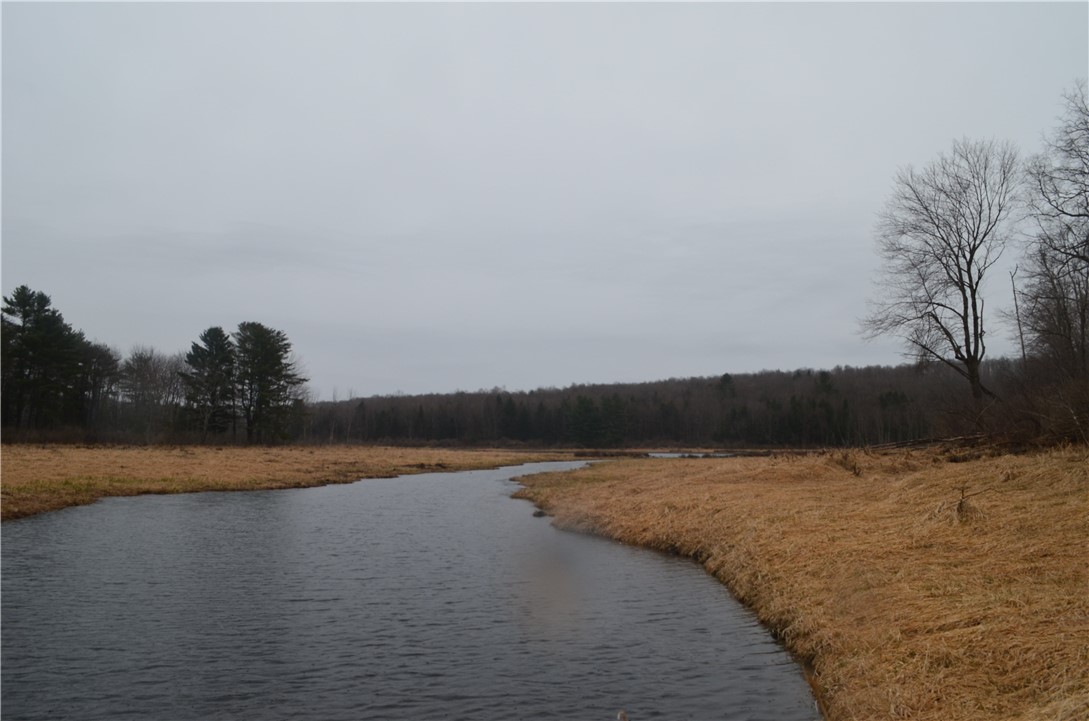 1377 Vrolyk Road, Georgetown, New York image 16