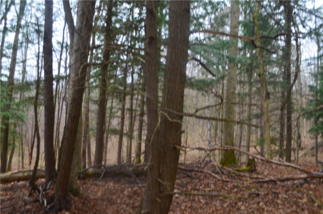 1377 Vrolyk Road, Georgetown, New York image 30