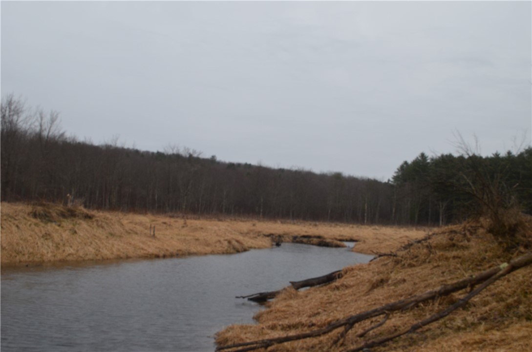 1377 Vrolyk Road, Georgetown, New York image 14