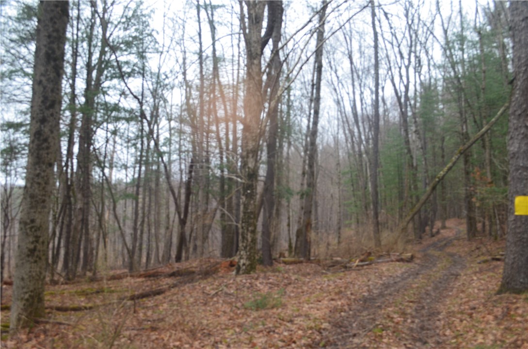 1377 Vrolyk Road, Georgetown, New York image 40