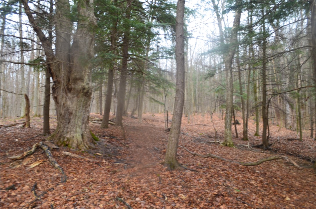 1377 Vrolyk Road, Georgetown, New York image 26