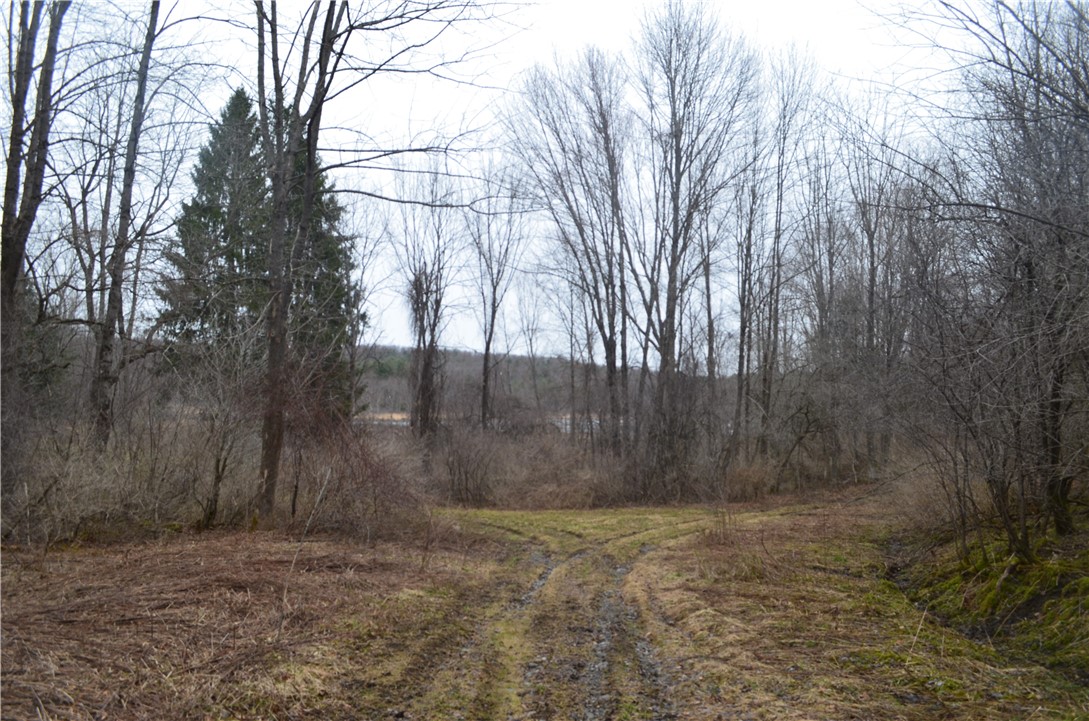 1377 Vrolyk Road, Georgetown, New York image 1