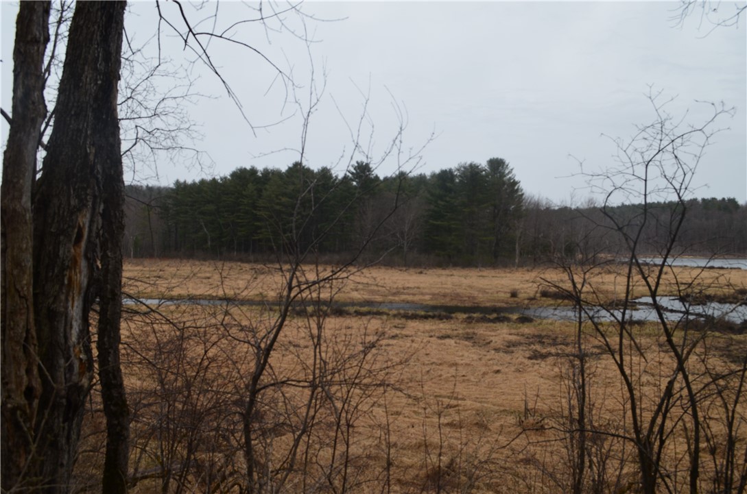 1377 Vrolyk Road, Georgetown, New York image 12