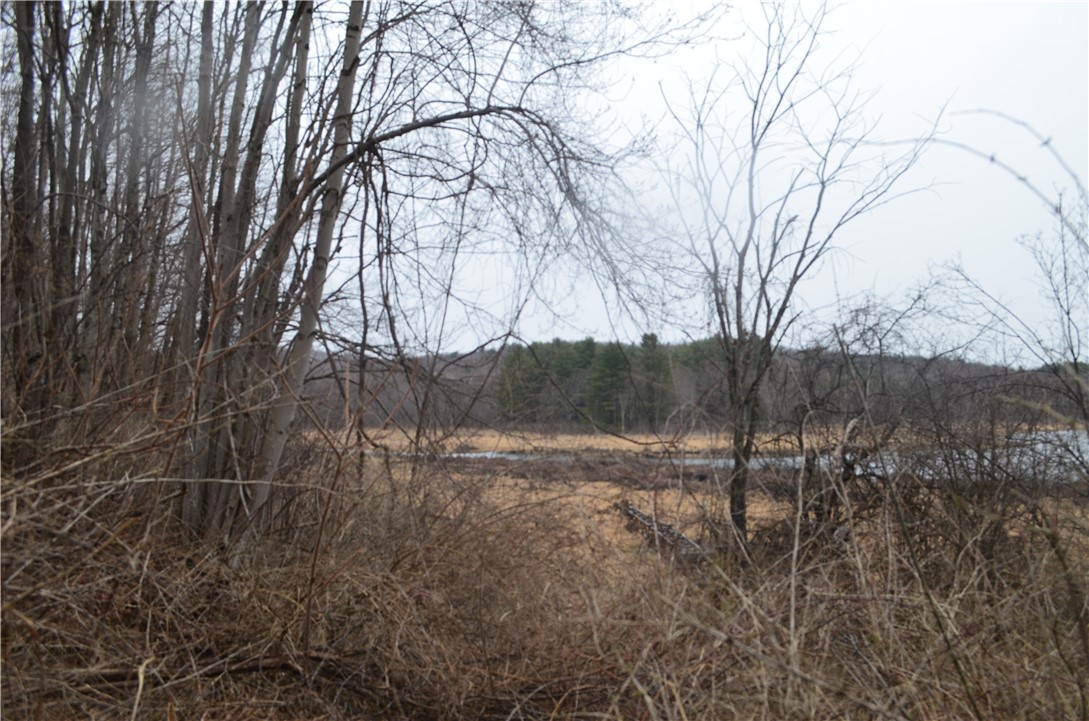 1377 Vrolyk Road, Georgetown, New York image 8