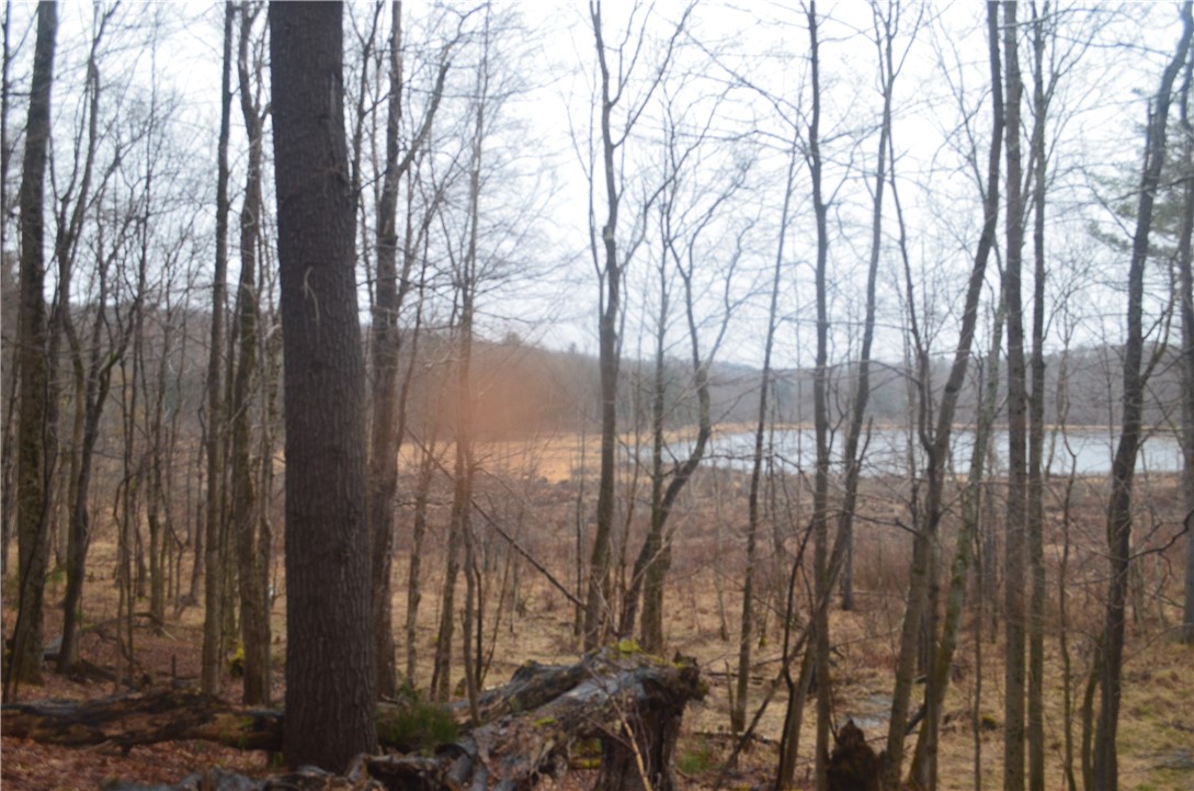 1377 Vrolyk Road, Georgetown, New York image 35