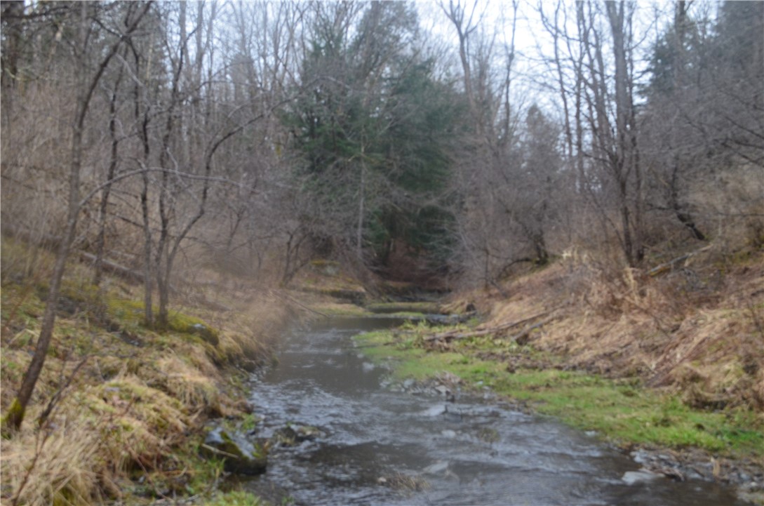 1377 Vrolyk Road, Georgetown, New York image 19