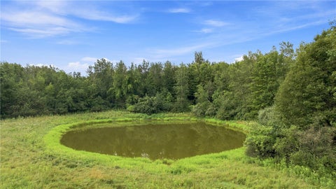 Photo for 4049 Wood Hill Road