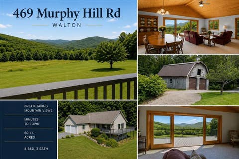 Homes For Sale - 469 Murphy Hill Road<br/> Walton, NY 13856
